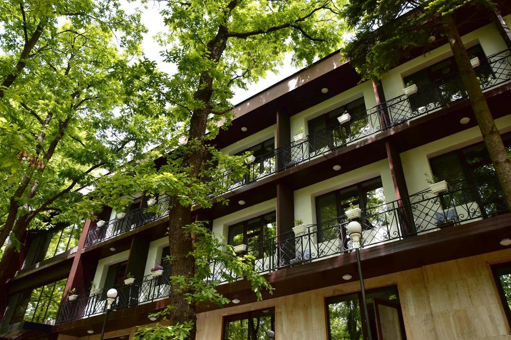 Boutique Hotel Lyulyak Starozagorski Bani Esterno foto